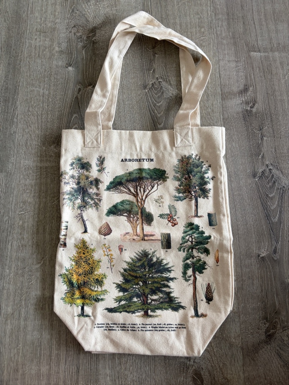 Cavallini  & Co Arboretum Canvas Tote Bag